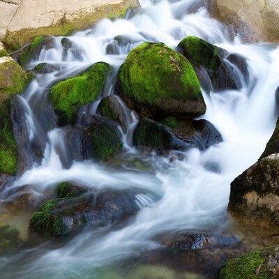 Mossy rocks in flowing stream