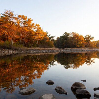 Autumn Trees Reflecting in River