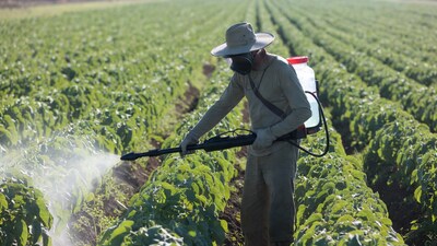 Farmer spraying crops with backpack sprayer