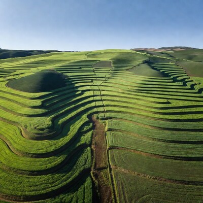 Aerial View of Green Rice Terraces