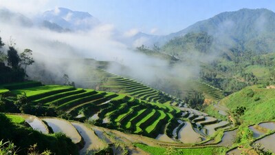 Misty Rice Terraces in Mountains