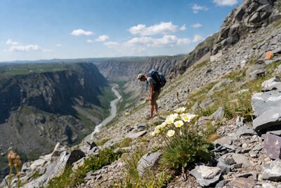 Hiker examining flowers near canyon edge