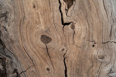 Aged Wood Texture with Cracks