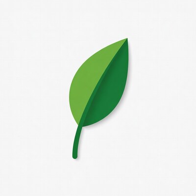 Green Leaf Illustration