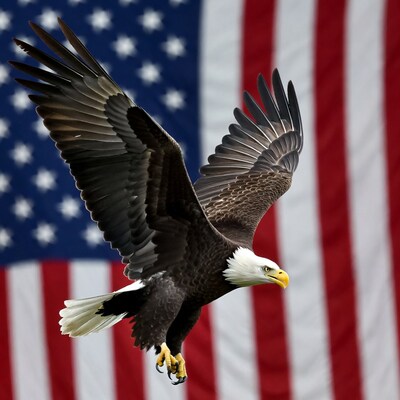 Bald Eagle Flying Against American Flag