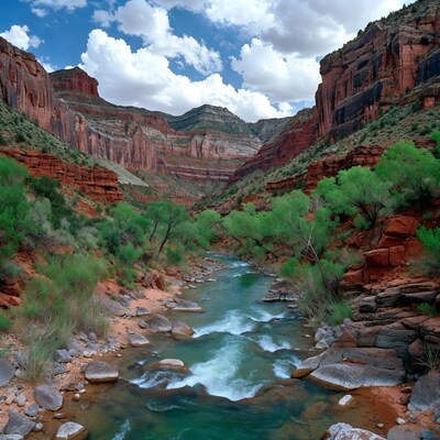 River flowing through red rock canyon