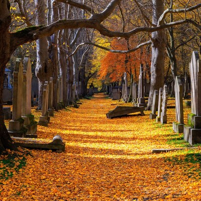 Autumn Path in Old Cemetery