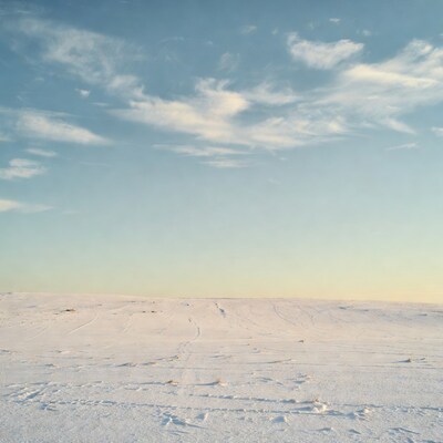Snowy field under blue sky