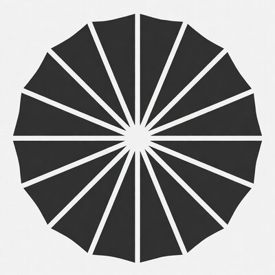 Black Radial Sunburst Icon