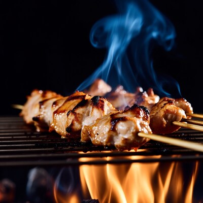 Grilled Chicken Skewers on BBQ