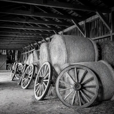 Hay Bales and Wagon Wheels in Barn