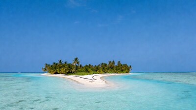 Tropical Palm Island in Turquoise Lagoon