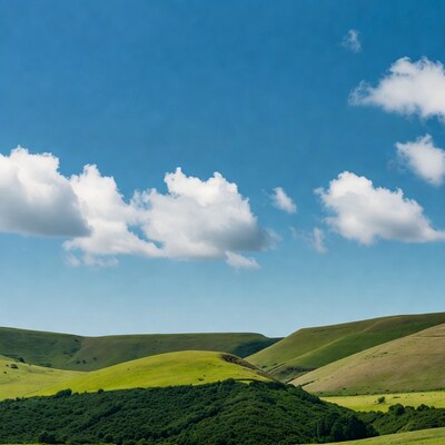 Green Rolling Hills Under Blue Sky