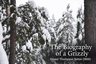 Snowy Pine Forest with Grizzly Biography Book