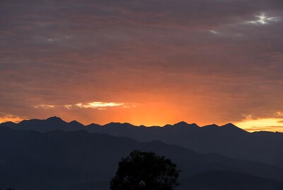 Sunset over mountains with tree silhouette