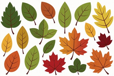 Colorful Autumn Leaves Clipart