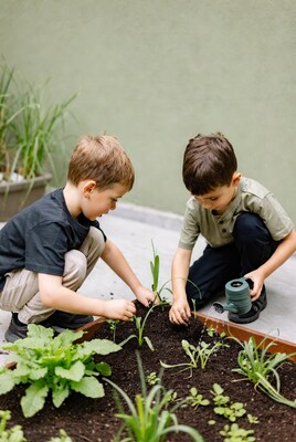 Boys planting seedlings in garden bed