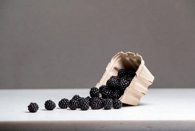 Blackberries spilling from carton