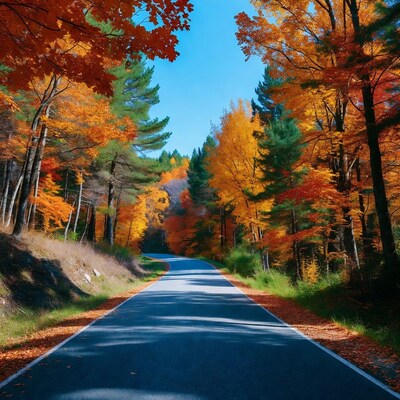 Curvy road through autumn forest
