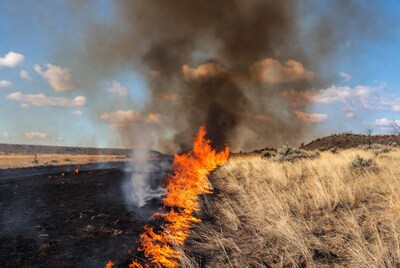 Grassland wildfire burning through dry field