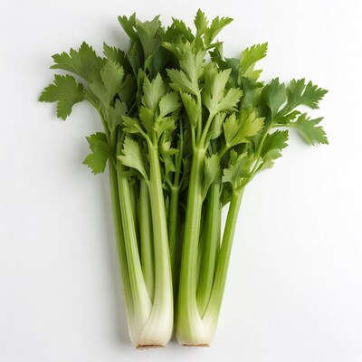 Fresh Celery Stalks on White Background
