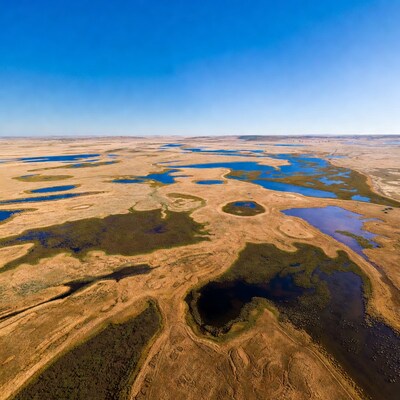 Aerial view of wetlands in golden steppe
