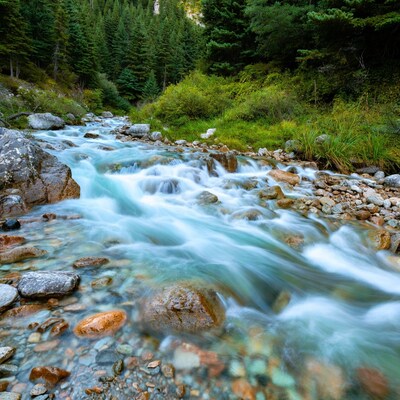 Mountain Stream Flowing Over Rocks