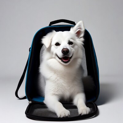 White fluffy dog in blue pet carrier