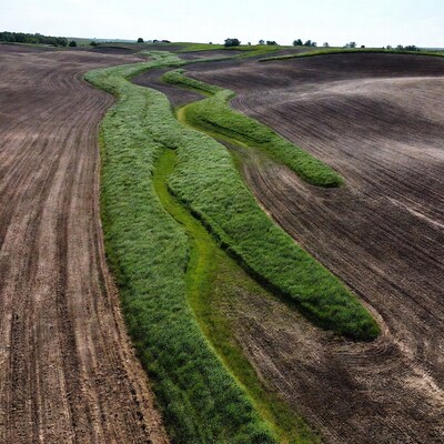 Winding green grass paths in plowed field