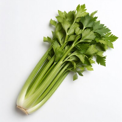 Fresh Celery Stalks on White Background