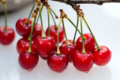 Fresh red cherries with water droplets