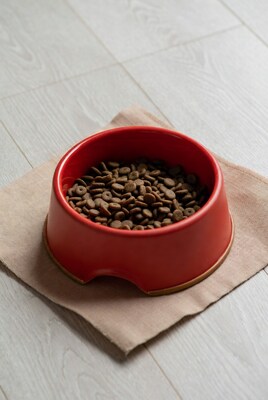 Red Dog Bowl with Kibble
