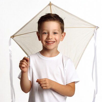 Boy holding kite