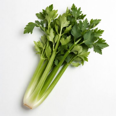 Fresh Celery Stalks on White Background