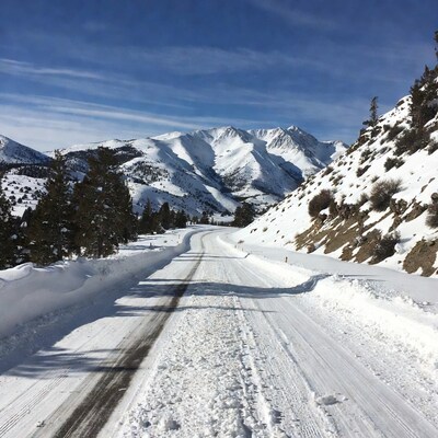 Snowy Mountain Road with Pine Trees