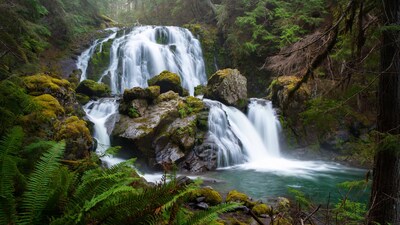 Mossy Waterfall in Lush Forest