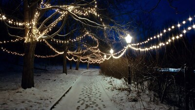 Snowy Path with Christmas Lights