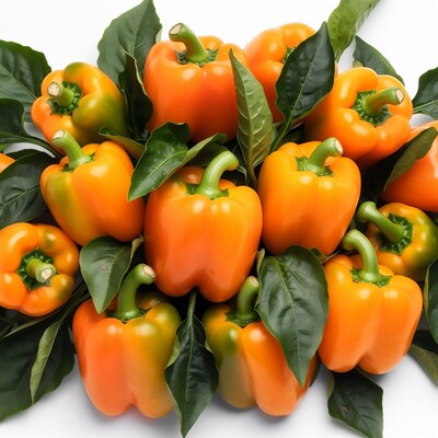 Orange Bell Peppers with Leaves