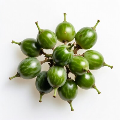 Cluster of Green Baby Watermelons