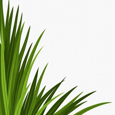Green Grass Clipart on White Background