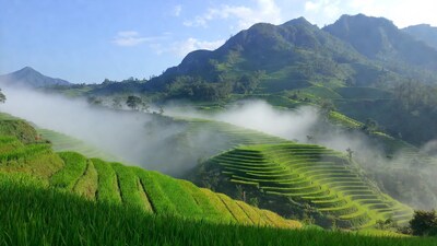 Rice Terraces in Misty Mountains