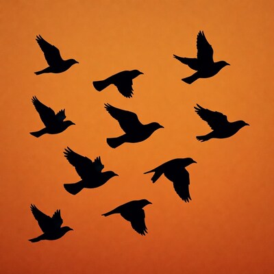 Flock of black birds flying orange background