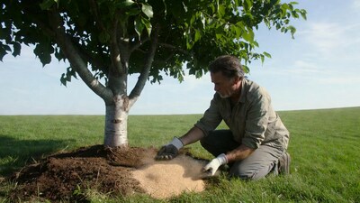 Man spreading fertilizer around tree