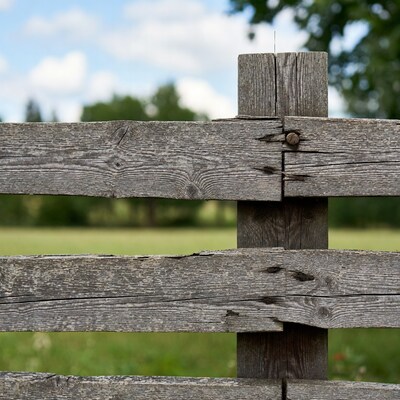 Wooden fence in green field