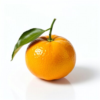 Mandarin Orange with Leaf