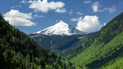 Snowy Peak Towering Over Forested Valley