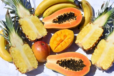 Tropical Fruits Pineapple Mango Papaya Bananas