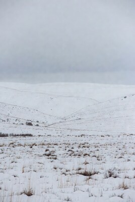 Snowy Hills with Grass and Bushes