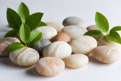 Pebbles and Green Leaves on White