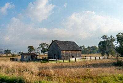 Old wooden barn in grassy field